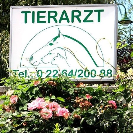 Tierarztschild